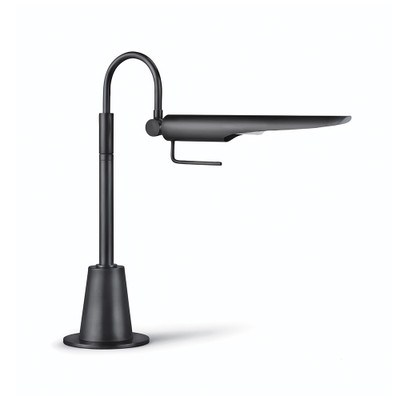 Regina Andrew Raven Task Lamp - Oil Rubbed Bronze