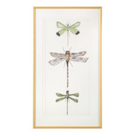 John Richard Joy Colangelo'S Joyful Dragonflies I