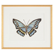 John Richard Beautiful Wings V By Joy Colangelo