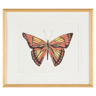 John Richard Beautiful Wings Iv By Joy Colangelo
