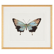 John Richard Beautiful Wings I By Joy Colangelo