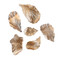 John Richard Gold Wall Leaves - Set Of 6