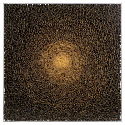 John Richard Tony Fey'S Cosmic Radiance