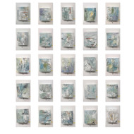 John Richard Tony Fey'S Nature Walk - Set Of 20