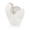 John Richard Giardenia White Porcelain Vase Iii