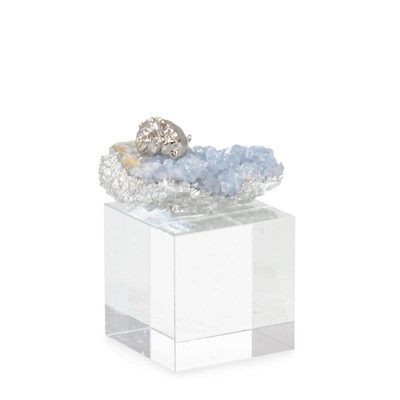 John Richard Ocean Floor Sculpture On Crystal Base Ii