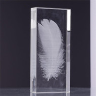 John Richard Crystal-Encased Feather
