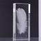 John Richard Crystal-Encased Feather