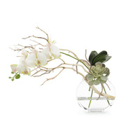 John Richard Blushing Pink Orchid