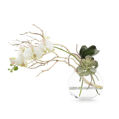 John Richard Blushing Pink Orchid