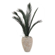 John Richard Crusty Palms