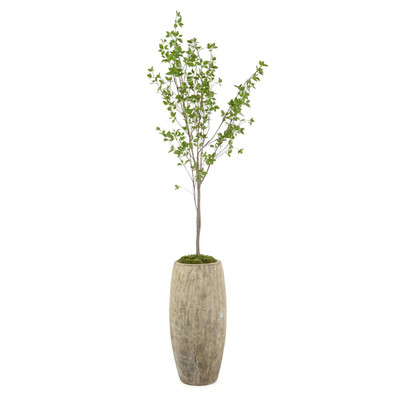 John Richard Red Twig Dogwood