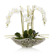 John Richard Orchid Display