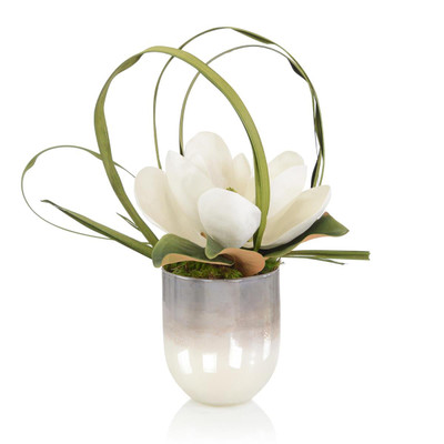 John Richard Shadows In The South