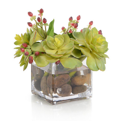 John Richard Succulents & Hypericum