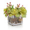 John Richard Succulents & Hypericum