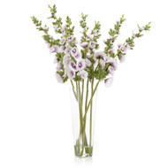 John Richard Hollyhocks