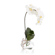 John Richard Real Touch Orchid
