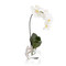 John Richard Real Touch Orchid