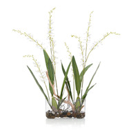 John Richard White Pearls