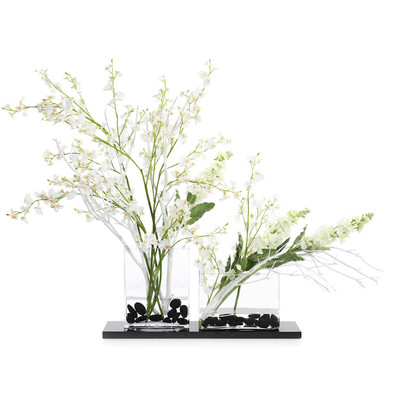 John Richard Deep Sea Beauty