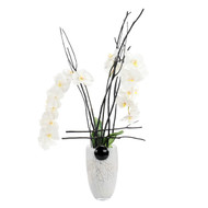 John Richard Midnight Phals - Black & White Vase