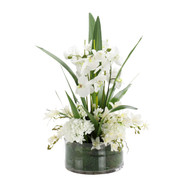 John Richard Moss Garden