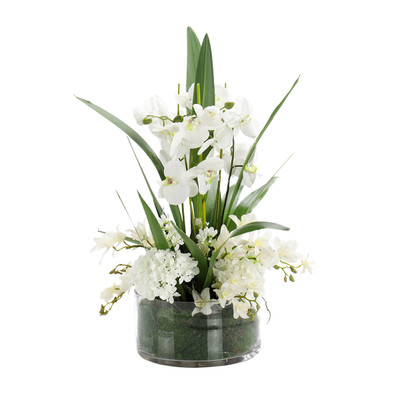 John Richard Moss Garden