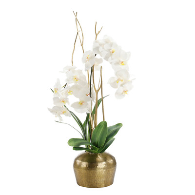 John Richard Golden Moon - Brass Pot