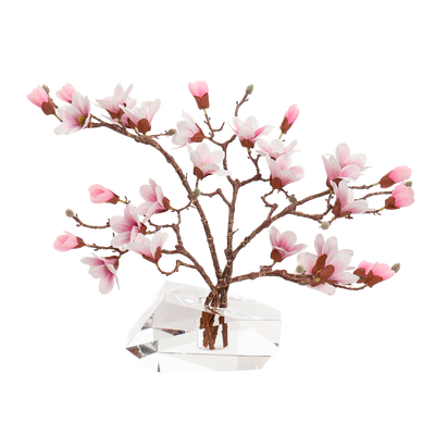 John Richard Ice Crystal Magnolias