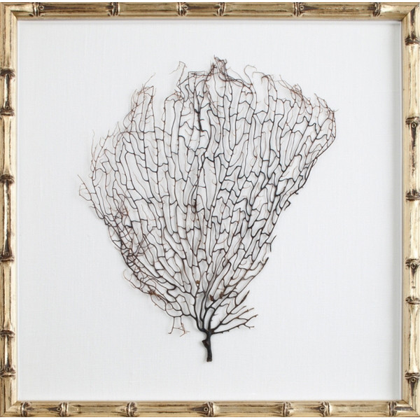 Mirror Image Home Natural Sea Fan 2