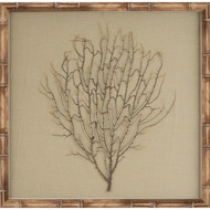 Natural Bamboo Sea Fan