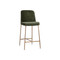 Sunpan Zeke Counter Stool - Antique Brass - Bergen Olive