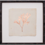 Copper Leaf Seaweed III