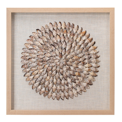 Jamie Young Riviera Framed Wall Art - Beige Simnia Shell