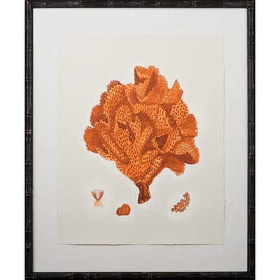 Tangerine Coral Giclee IV