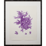 Purple Coral Giclee I