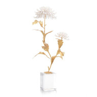 Avignon Chrysanthemums