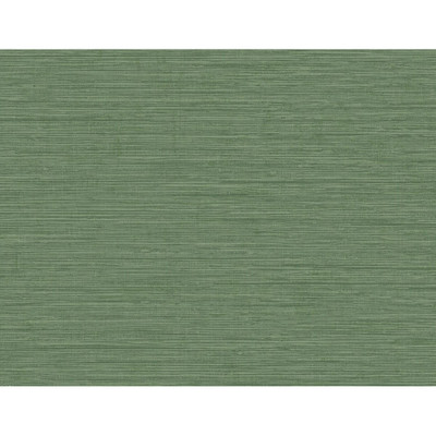 Seabrook Designs Nautical Twine Stringcloth - Greenery