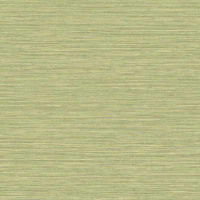 Seabrook Designs Grasslands - Lime Moss