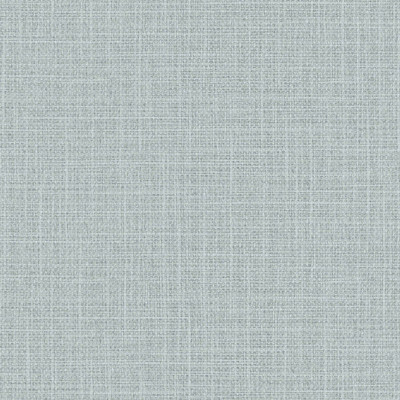 Seabrook Designs Woven Raffia - Sea Mist