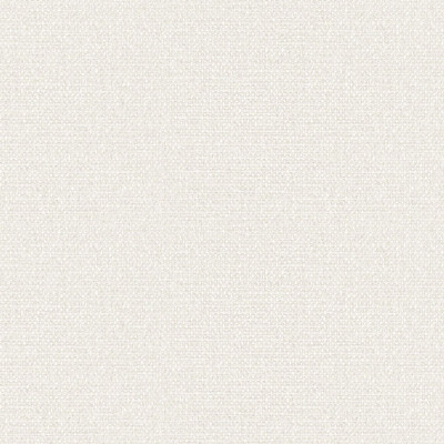 Seabrook Designs Woven Raffia - Bone White