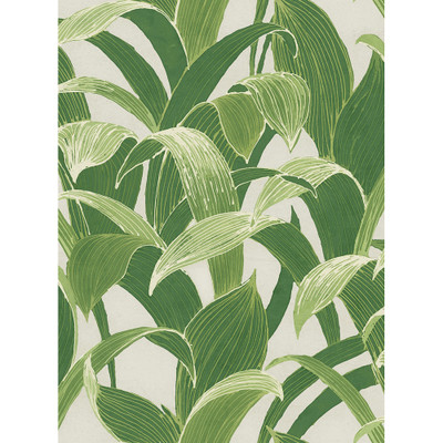 Seabrook Designs Imperial Banana Groves - Metallic Pearl and Forest Green