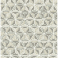 Seabrook Designs Einstein Geometric - Metallic Gold and Metallic Silver
