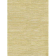 Seabrook Designs Sisal - Metallic Silver
