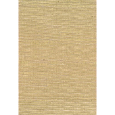 Seabrook Designs Sisal - Brown I