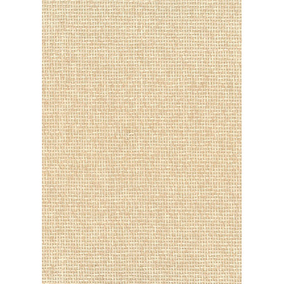 Seabrook Designs Paperweave - Neutrals I
