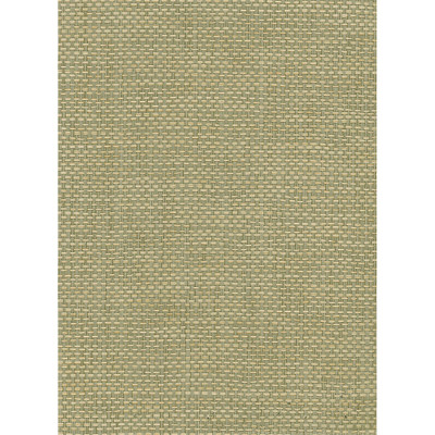 Seabrook Designs Paperweave - Green, Tan