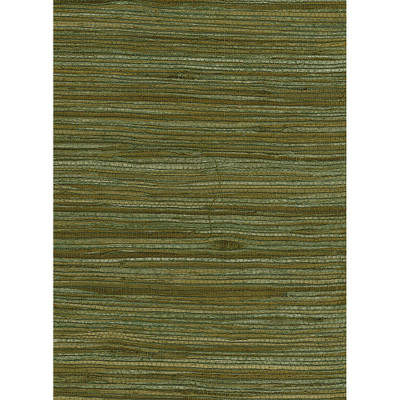 Seabrook Designs Water Hyancinth - Green, Tan