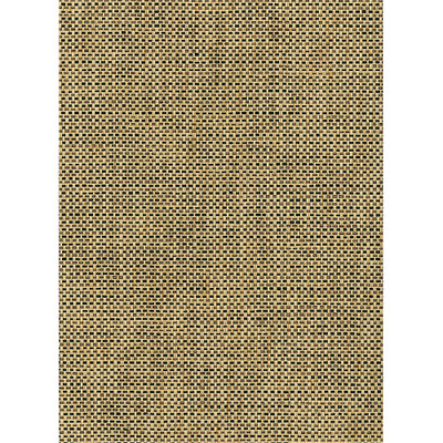 Seabrook Designs Paperweave - Black, Tan